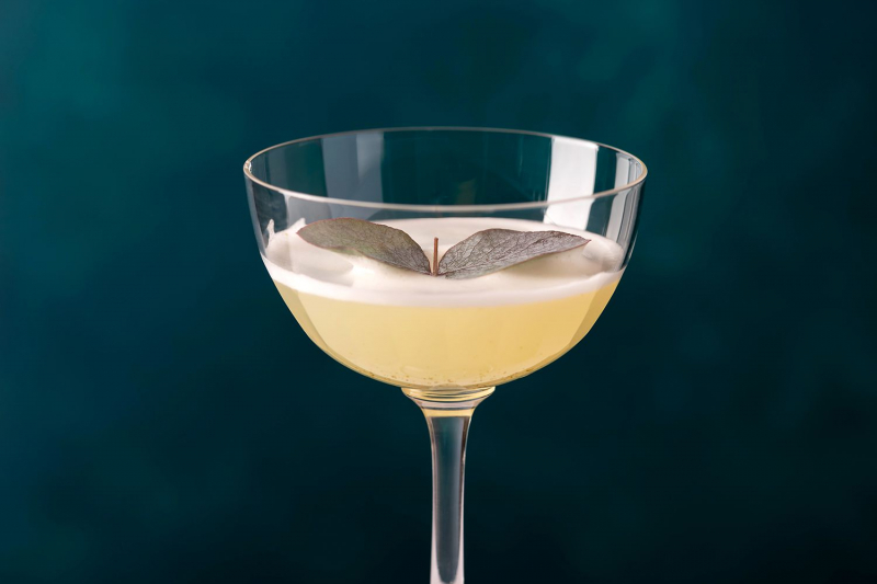 15 Best Egg White Cocktails